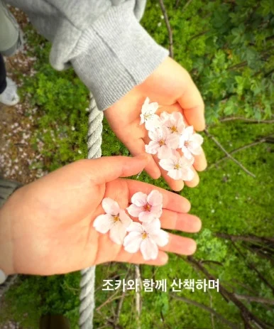 output_2955671386.jpg?type=w386