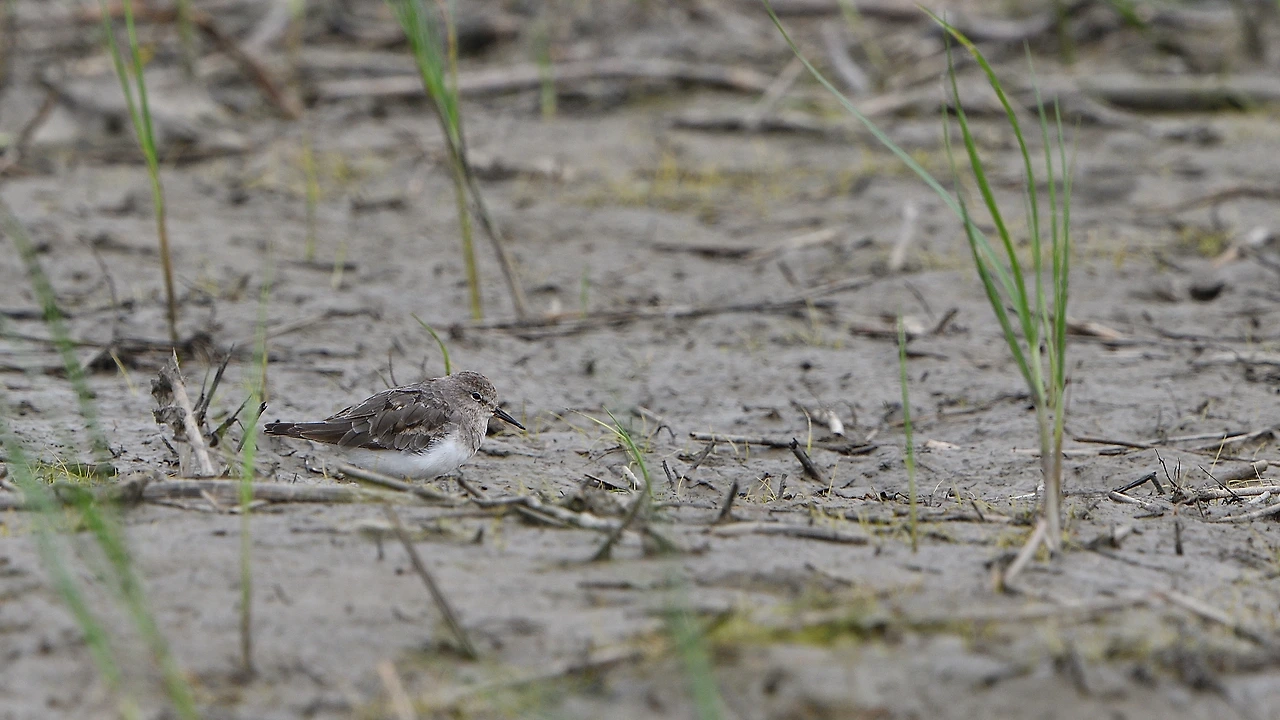 210905-298 화성호.JPG