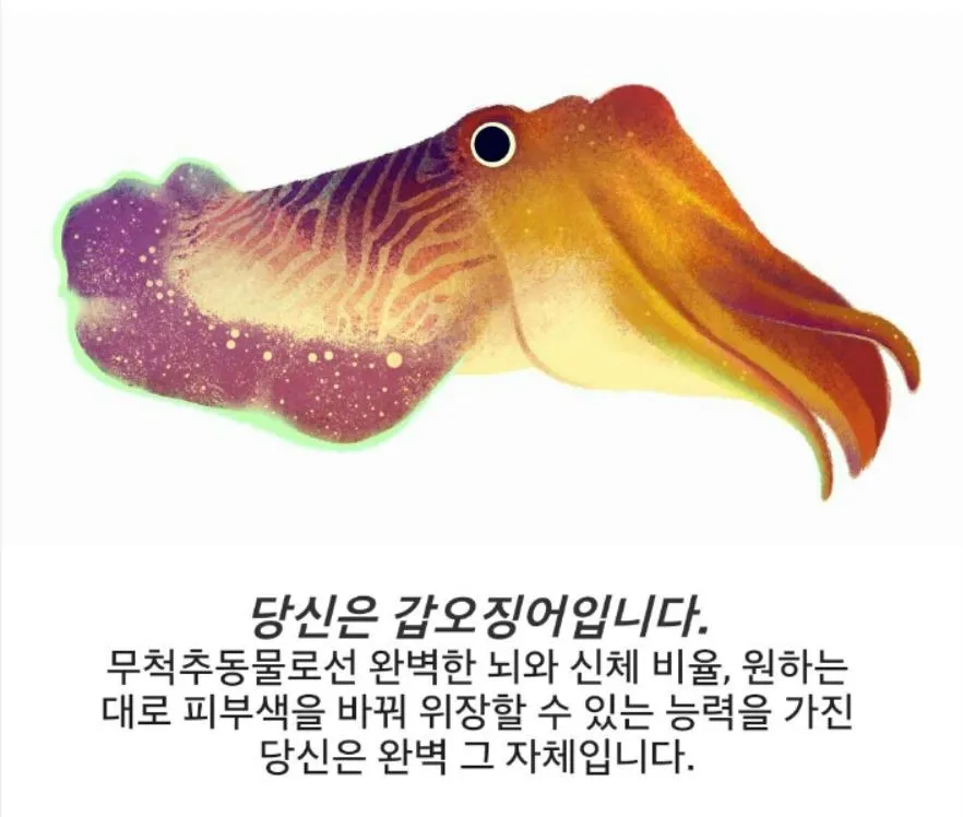 캡처.JPG