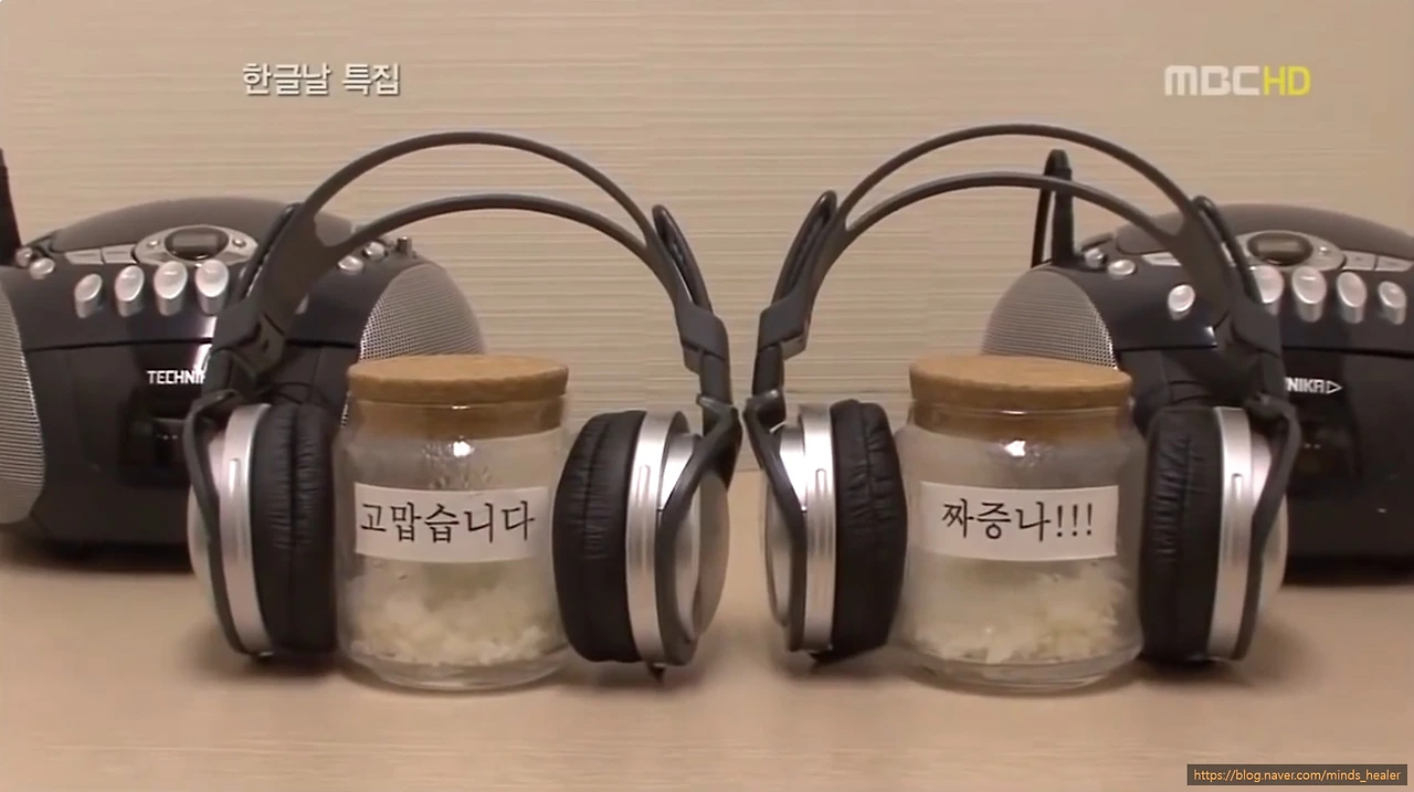 SE-1523ebbc-be8d-4355-a442-07dc189c72cf.jpg?type=w3840