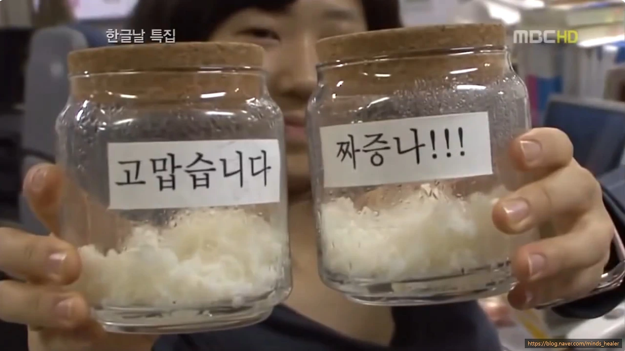 SE-fc63fbf3-6b6a-4b03-bf63-8785b51dfc29.jpg?type=w3840