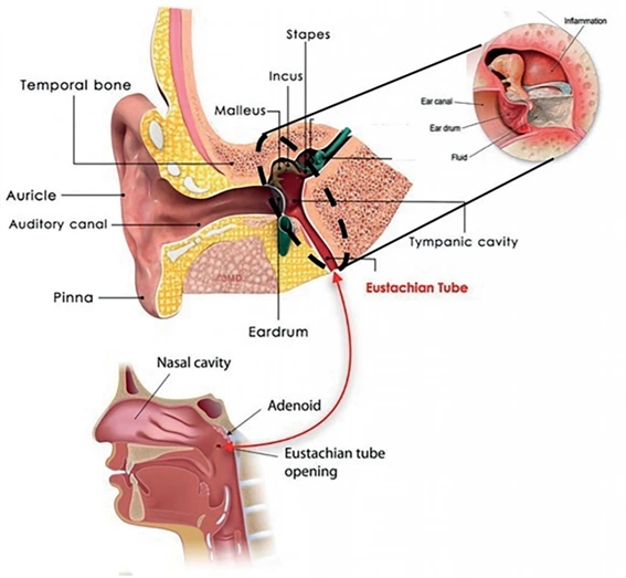 image01.png?type=w1200