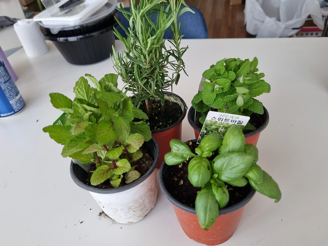 KakaoTalk_Photo_2024-07-02-13-38-56 002.jpeg