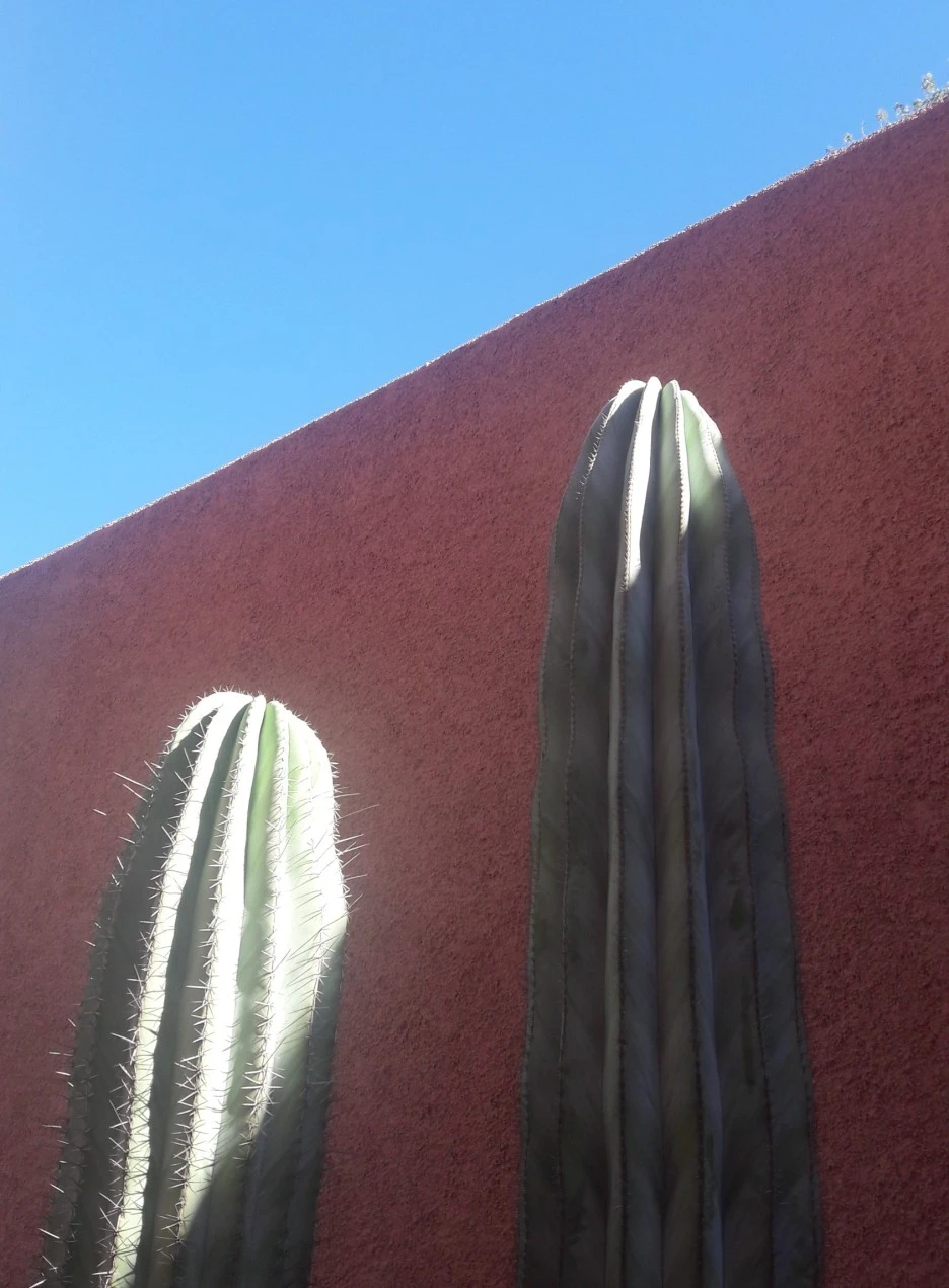 SE-65307f00-45f1-40ed-b187-3842c9b4af59.jpg?type=w1