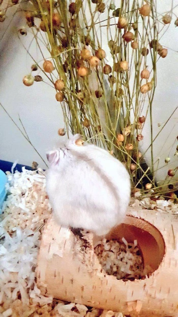 FBo7BeLUUAYhZNh.jfif