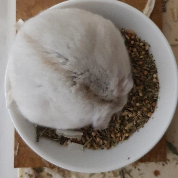 E2tTuQ9VIAMgmBz.jfif