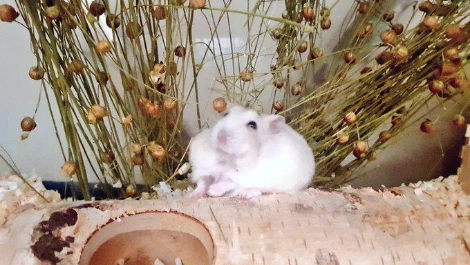 FBo6Z5TVcAUxI4m.jfif