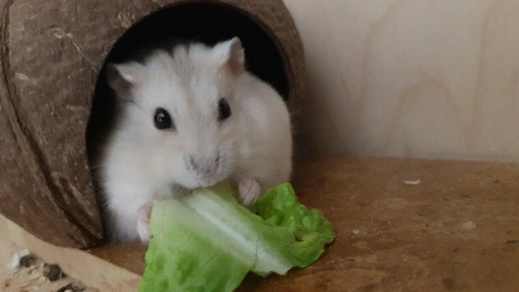 E56r2UFVoAIugmv.jfif