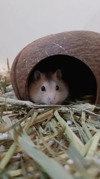 EehKjrzU4AEPCaB.jfif