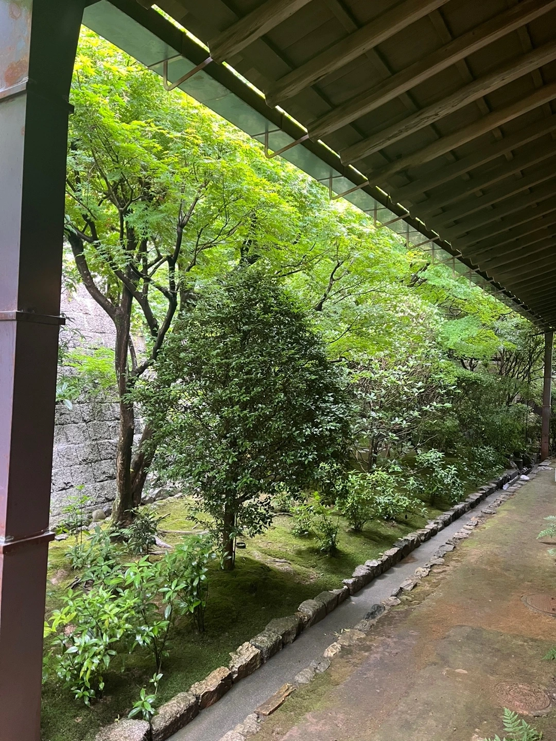 KakaoTalk_Photo_2024-07-15-11-53-57 009.jpeg