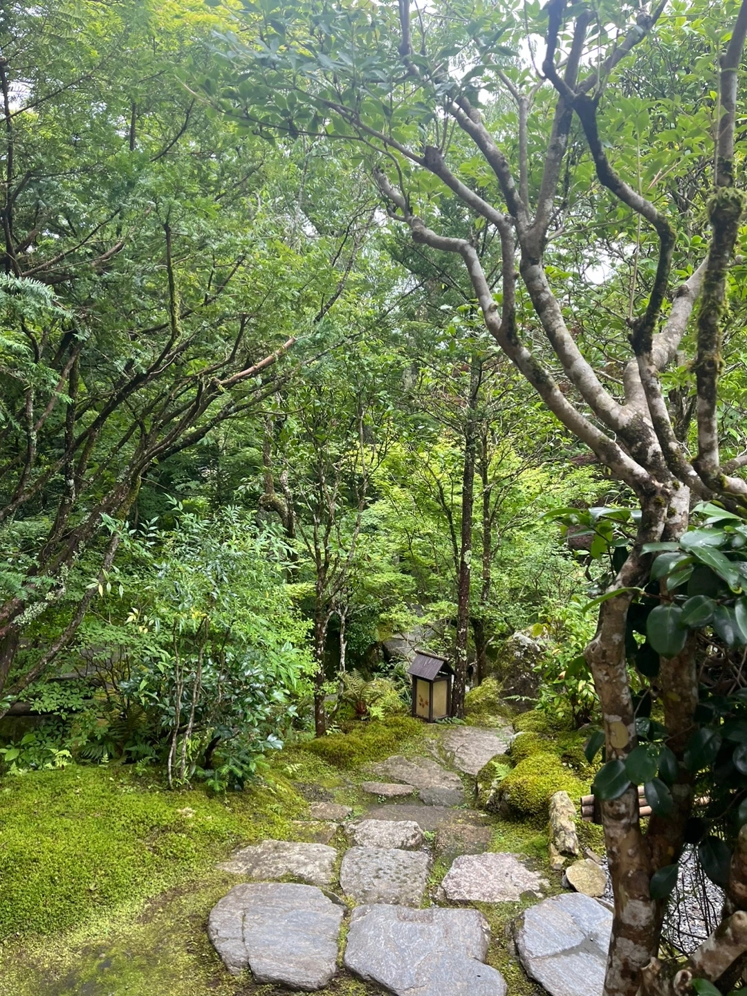 KakaoTalk_Photo_2024-07-15-11-53-56 003.jpeg