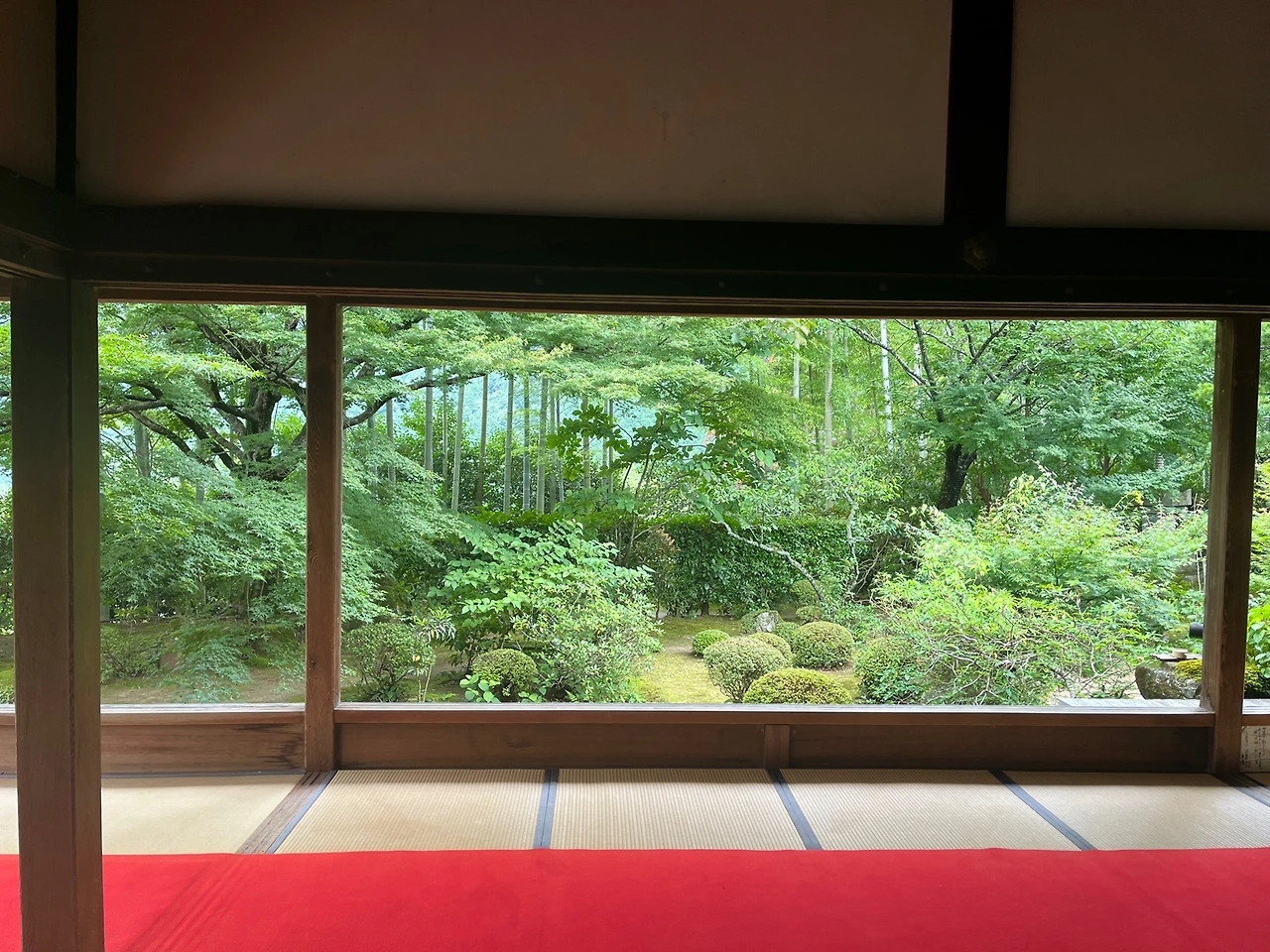 KakaoTalk_Photo_2024-07-15-11-53-55 001.jpeg