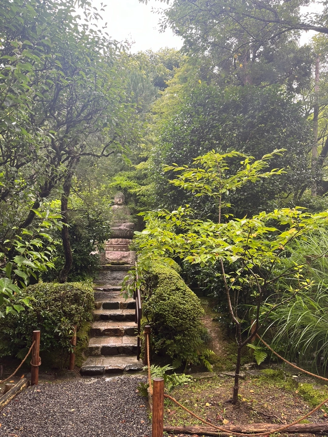 KakaoTalk_Photo_2024-07-15-11-53-57 007.jpeg