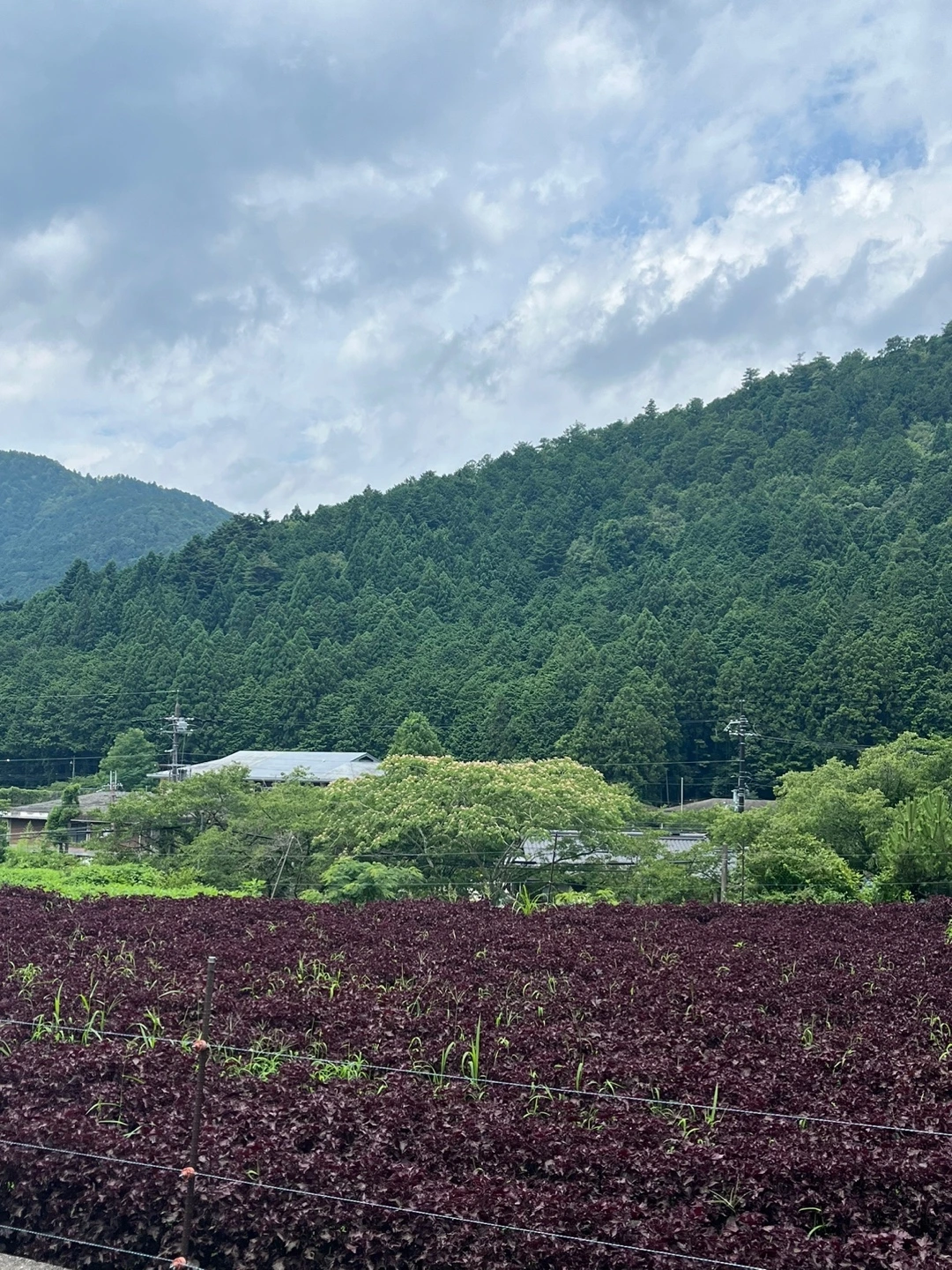 KakaoTalk_Photo_2024-07-15-11-53-56 005.jpeg