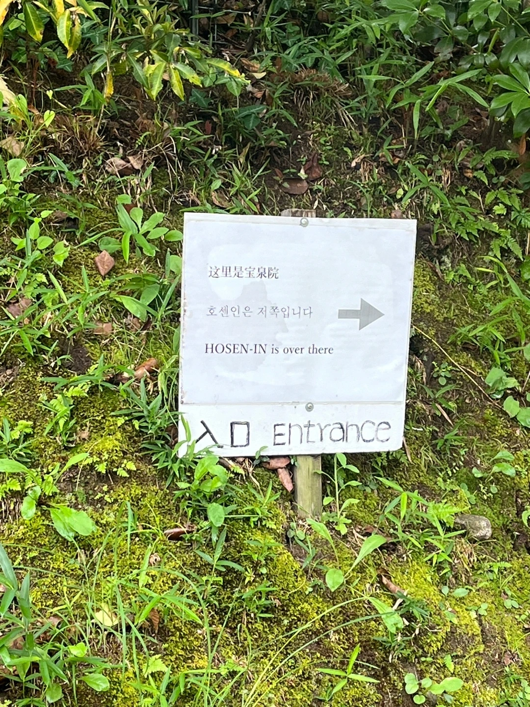 KakaoTalk_Photo_2024-07-15-11-53-56 002.jpeg