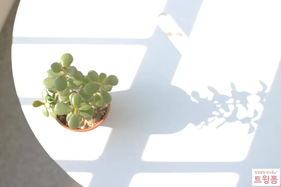 SE-76b6356d-1cf1-4bc8-9e2f-fa0a2dff03c0.jpg?type=w966