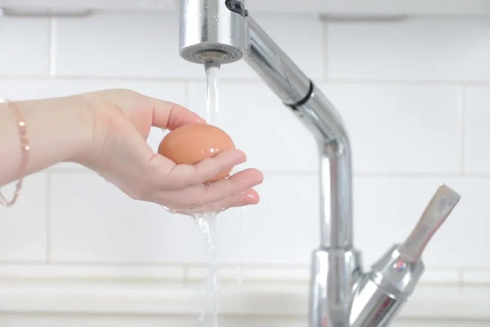 IMG_8642.JPG?type=w966