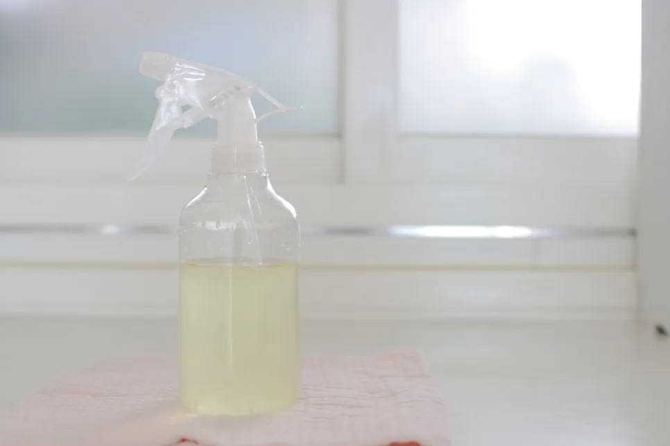 IMG_6064.JPG?type=w966