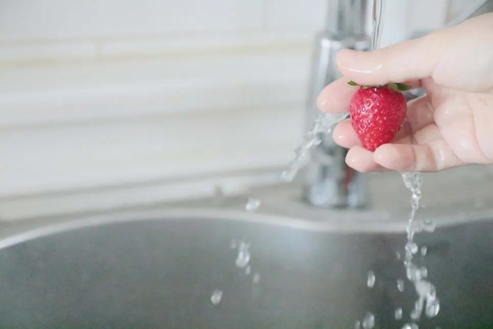 IMG_0248.JPG?type=w966