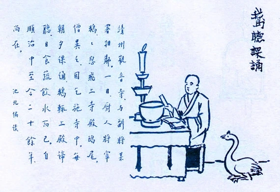 422. 鵝聽課誦.jpeg