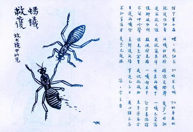 169. 螞蟻救護.jpeg