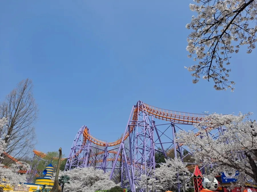 20240407%EF%BC%BF130938.jpg?type=w966