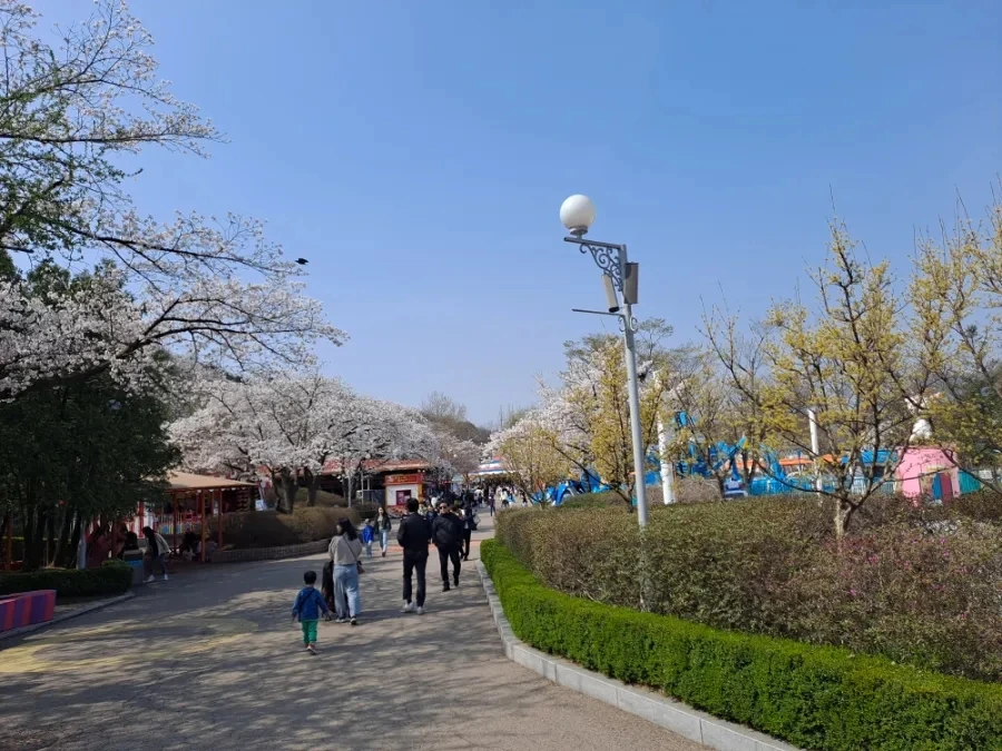 20240407%EF%BC%BF102651.jpg?type=w966