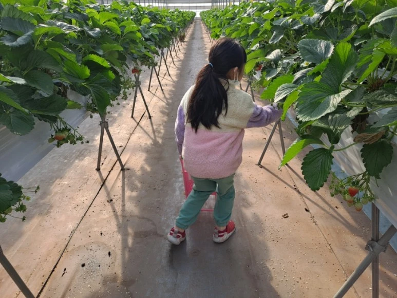 20231210%EF%BC%BF110546.jpg?type=w773