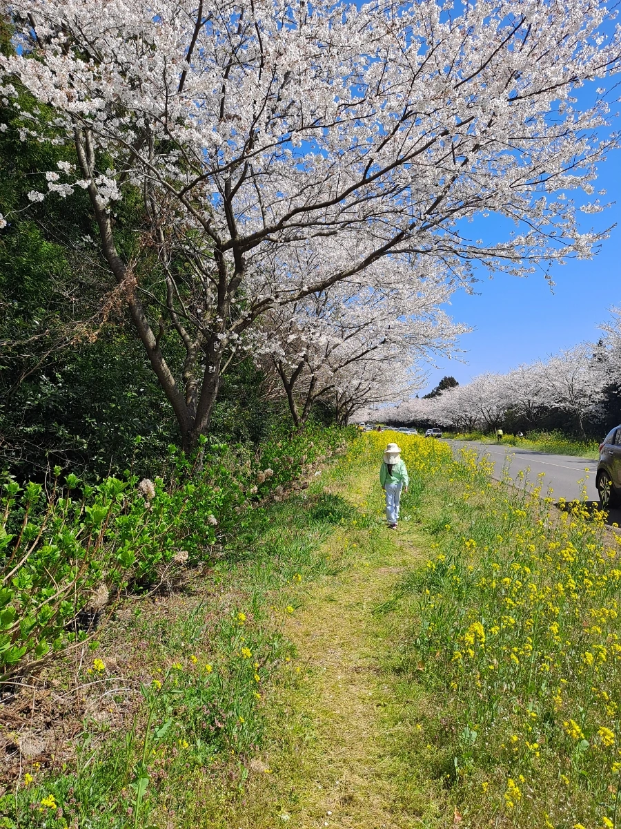 900%EF%BC%BF20250406%EF%BC%BF140107.jpg?type=w966