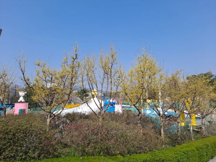 20240407%EF%BC%BF102653.jpg?type=w966