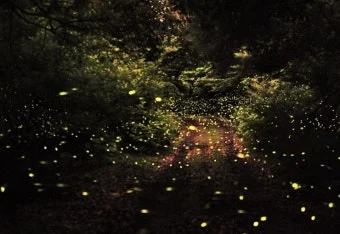 %EB%8B%A4%EC%9A%B4%EB%A1%9C%EB%93%9C.jpg?type=w966