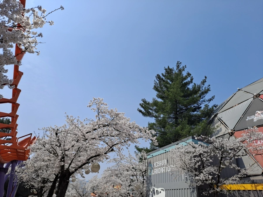 20240407%EF%BC%BF130933.jpg?type=w966