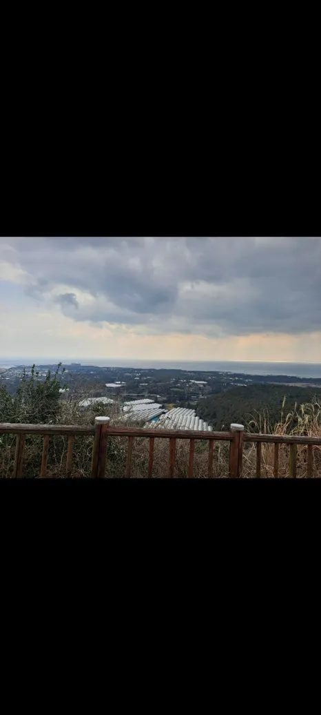 Screenshot_20250308_074741_Gallery.jpg?type=w466