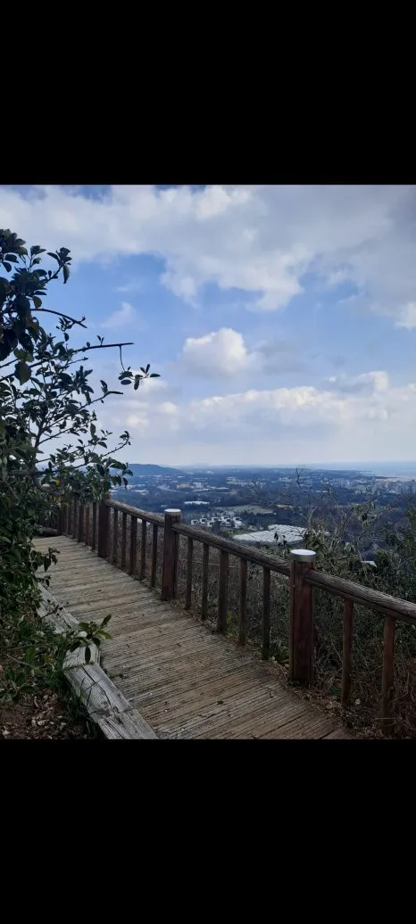 Screenshot_20250308_074755_Gallery.jpg?type=w466