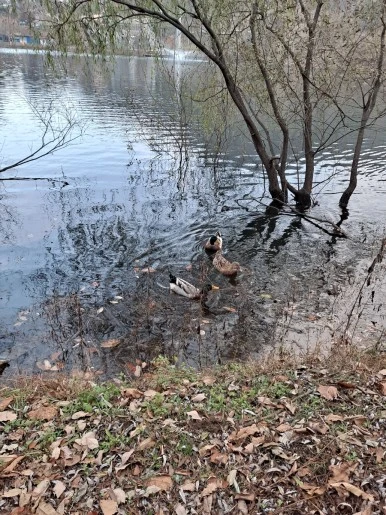 20231119%EF%BC%BF161940.jpg?type=w386