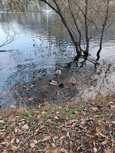 20231119%EF%BC%BF161943.jpg?type=w386