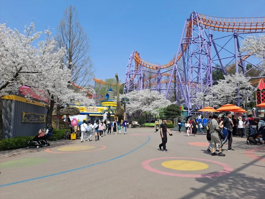 20240407%EF%BC%BF130941.jpg?type=w966