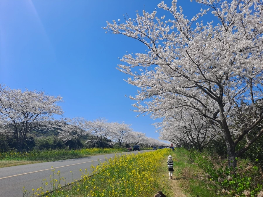 900%EF%BC%BF20250406%EF%BC%BF140558.jpg?type=w966