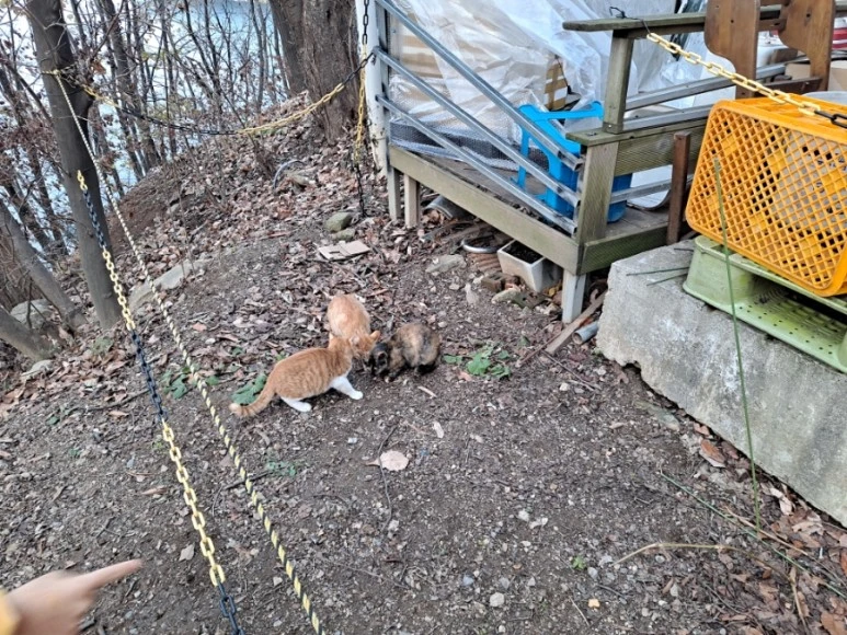 20231119%EF%BC%BF162949.jpg?type=w773