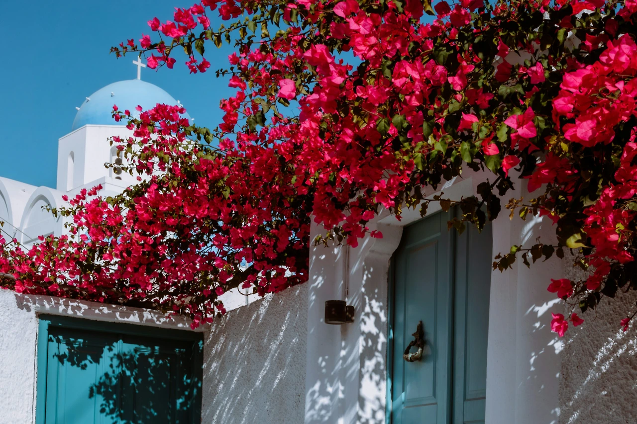 photo-1708913113274-f93ec8f3375d?fm=jpg&q=60&w=3000&ixlib=rb-4.1.0&ixid=M3wxMjA3fDB8MHxwaG90by1wYWdlfHx8fGVufDB8fHx8fA%3D%3D