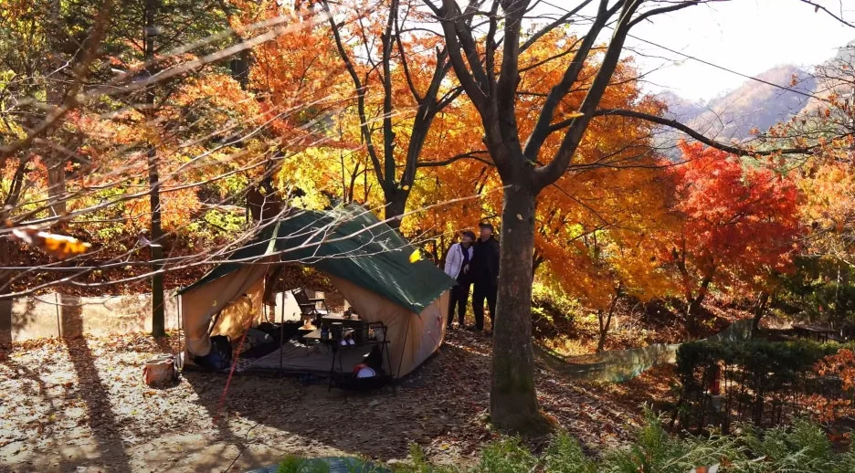 %EB%82%99%EC%97%BD%EB%B9%84%EA%B0%80.JPG?type=w1