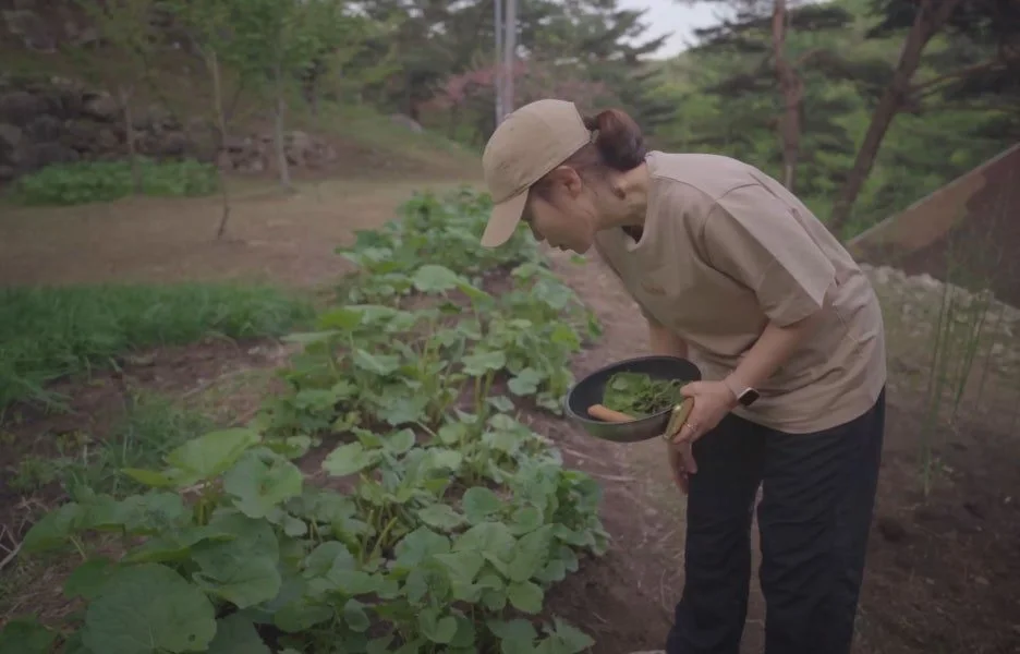 9Q4Cl5hz5tq4uG2VFGdnL5UadT8