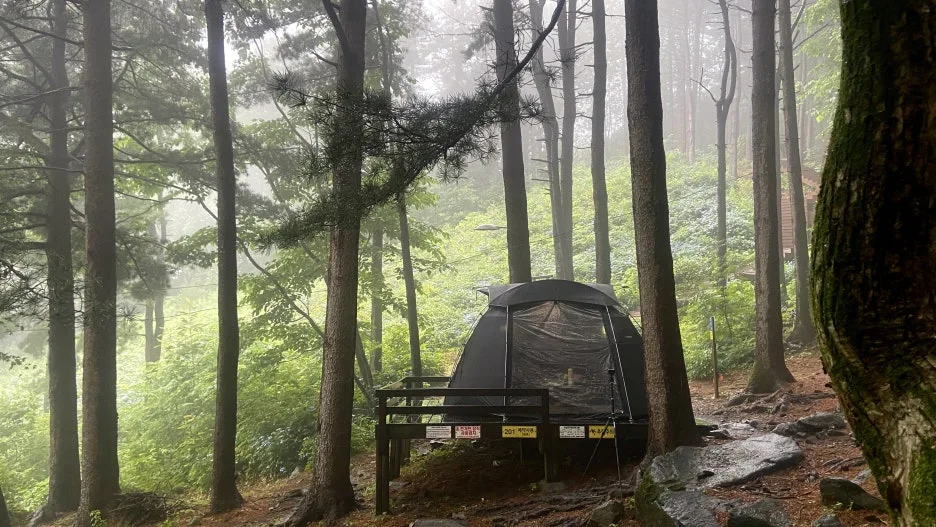 P20230626_082259742_2F2111FC-4B8C-48DB-8FB8-363C7254E647.JPG?type=w1