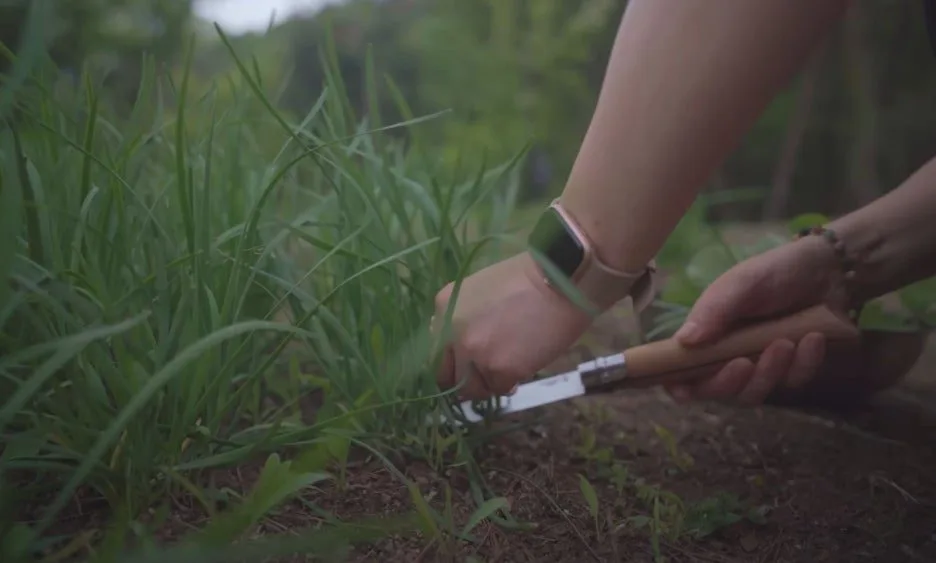 BLmIgxZaVejTt7oXkJHtfQOwIec