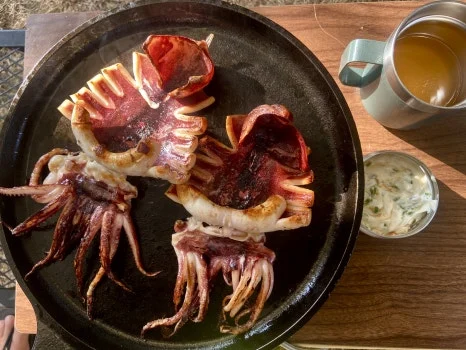 IMG_8099.JPEG?type=w466