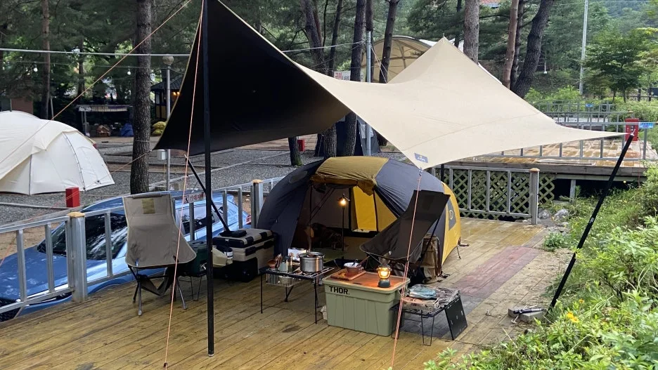 P20230716_184206965_315C1DC6-E4CC-4A0E-8F98-E1F4E72C143F.JPG?type=w1