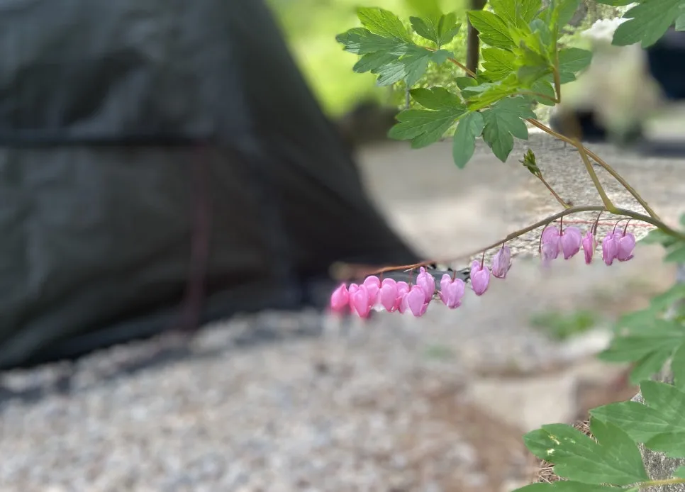 IMG_4908.JPEG?type=w966