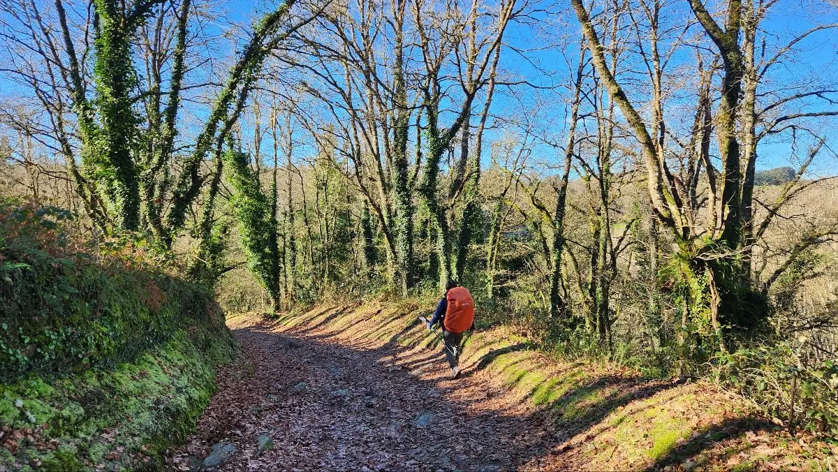 327069668_569037961785971_1494750349192210420_n.jpg?_nc_cat=111&ccb=1-7&_nc_sid=5614bc&_nc_ohc=nj6YFRjNXsAAX83TWnA&_nc_ht=scontent-ssn1-1.xx&oh=00_AfDhYr6CMlej8GS_p849X4D7YDTdkIi7seHb-QHYLlASWQ&oe=64F4FCA3