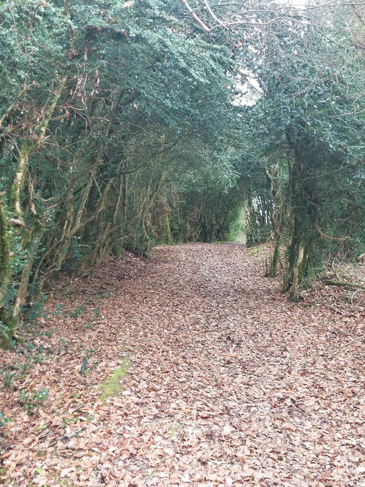 323687687_478155481137674_8057550474228982177_n.jpg?_nc_cat=105&ccb=1-7&_nc_sid=5614bc&_nc_ohc=GsM_z_Reve4AX8k91yZ&_nc_ht=scontent-ssn1-1.xx&oh=00_AfDOPcGN6f6u4h2jrut00Ak56YTYekcHGeK3ohIsm-cwnw&oe=64F5F7D3