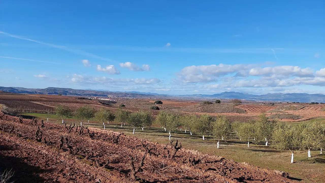 324339193_848860009507206_1321824090490224214_n.jpg?_nc_cat=109&ccb=1-7&_nc_sid=5614bc&_nc_ohc=9F3tFtLt9jMAX_yusqU&_nc_ht=scontent-ssn1-1.xx&oh=00_AfAOZNiqFxZdOFSLxYajV9JV7r2gyDMug9Di4Vu-3xQEaQ&oe=64F522F6